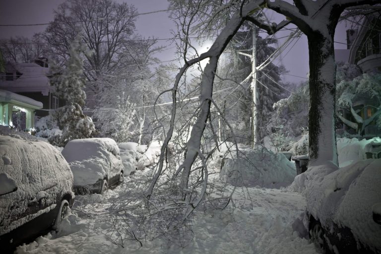 A very snowy road with a broken tree branch