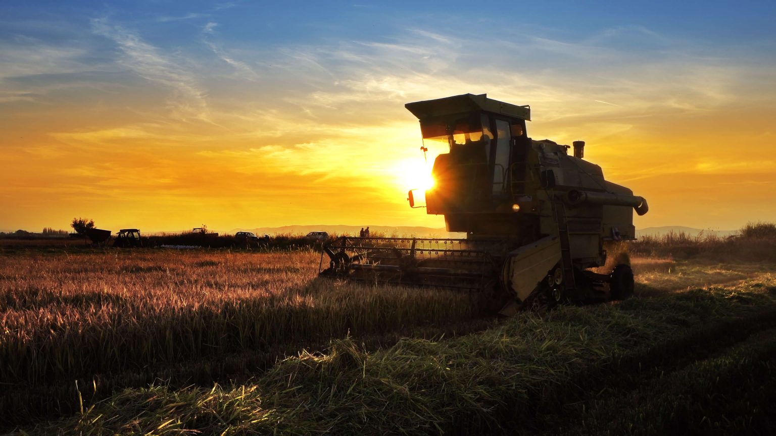 Farm machine in a crop field