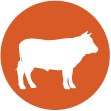 Beef Icon