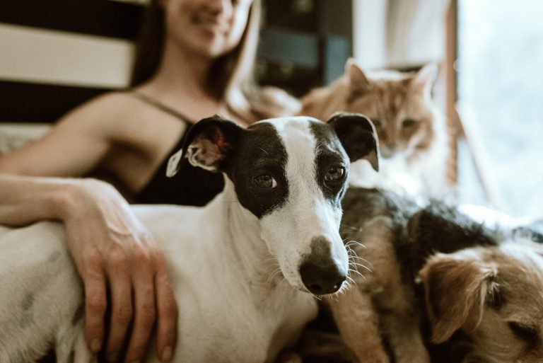 a woman with her two dogs and a cat