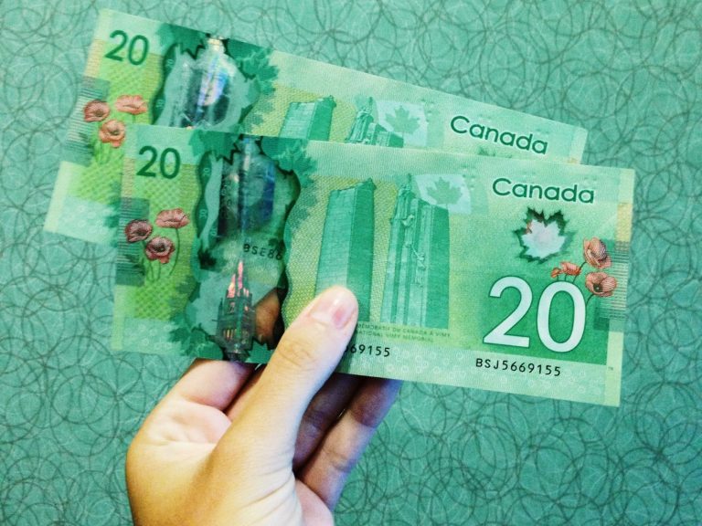 a hand holding canadian money