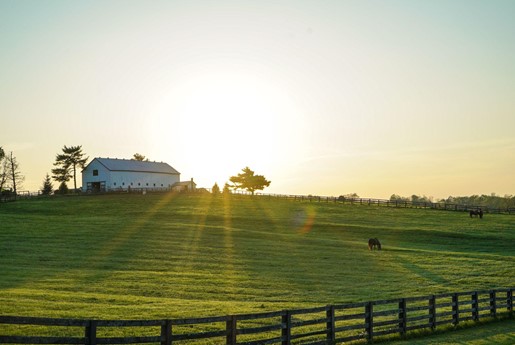 7 Reasons To Consider Farm Insurance