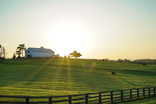 A field with a farm building in the distance.