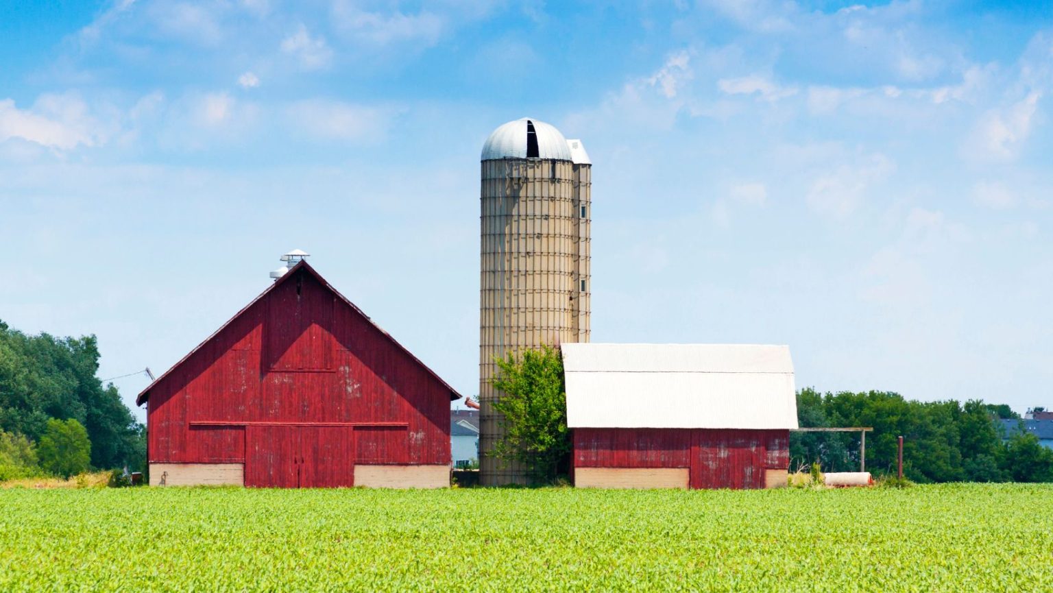 Red farm buildings.