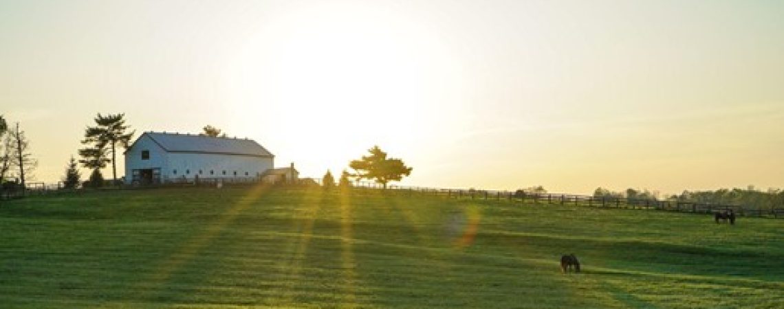 A field with a farm building in the distance.