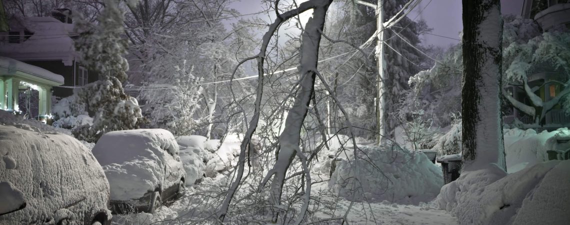 A very snowy road with a broken tree branch