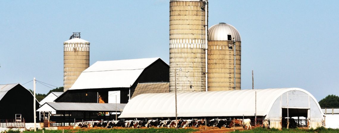 various farm buildings with cows grazing in a field