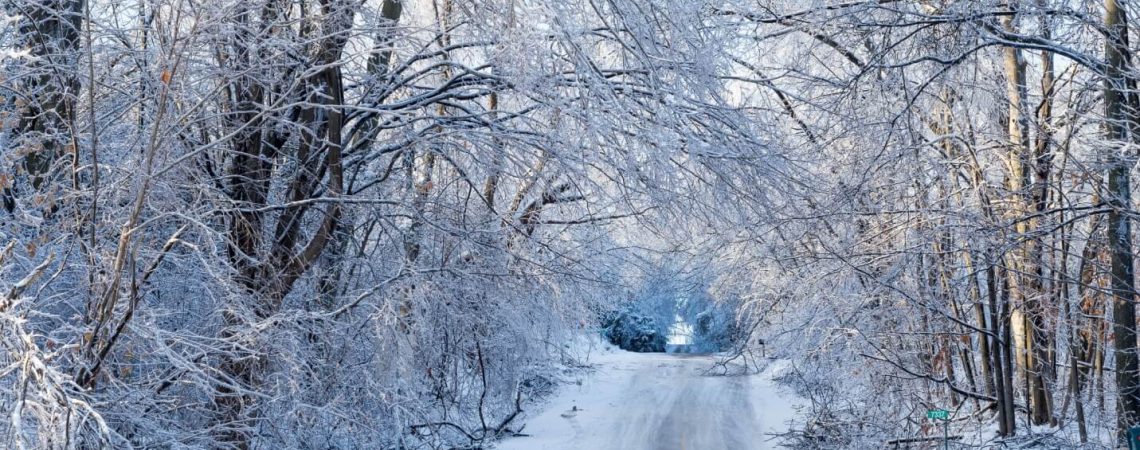 A snowy winter road