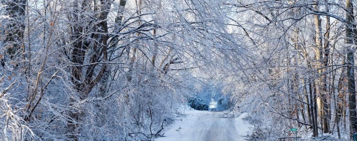 A snowy winter road.