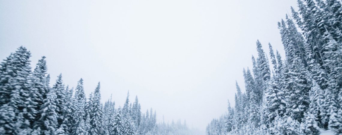 A snowy winter road.